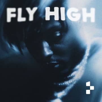 FLY HIGH cover