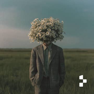 VALID cover