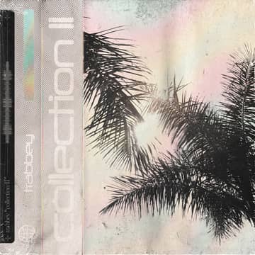 DREAMSCAPE cover: palm leaves on a pale, textured ground
