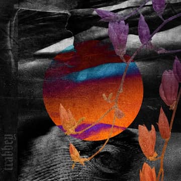 GREY GOOSE cover: an orange sun disc behind dark leaves